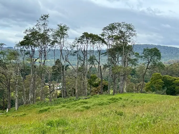 Sixth view of Homely land listing, Lot 2 Tasman Highway, Weldborough TAS 7264
