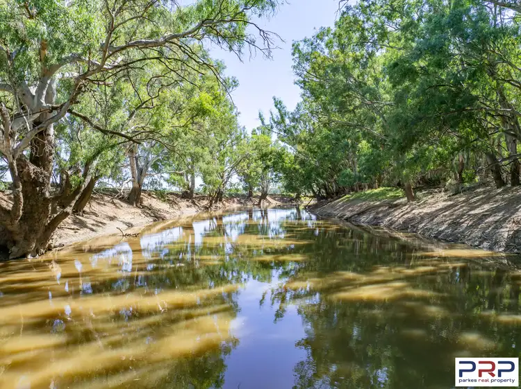 Second view of Homely rural property listing, 4194 Lachlan Valley Way, Warroo NSW 2871