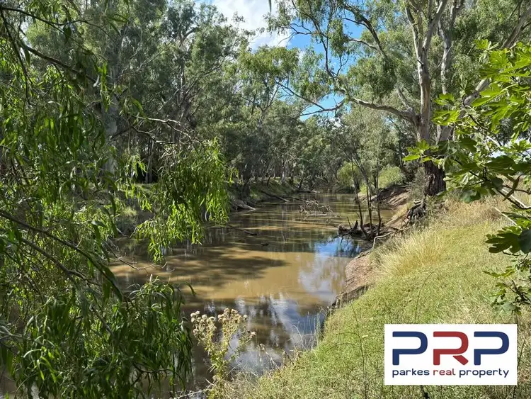 Sixth view of Homely rural property listing, 4194 Lachlan Valley Way, Warroo NSW 2871
