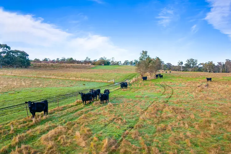 Fourth view of Homely rural property listing, Lot 1 Pollards Road, Elphinstone VIC 3448
