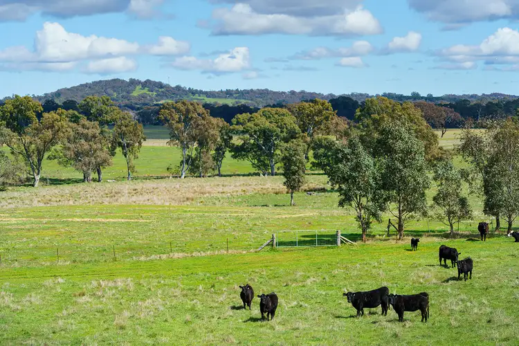 Sixth view of Homely rural property listing, Lot 1 Pollards Road, Elphinstone VIC 3448