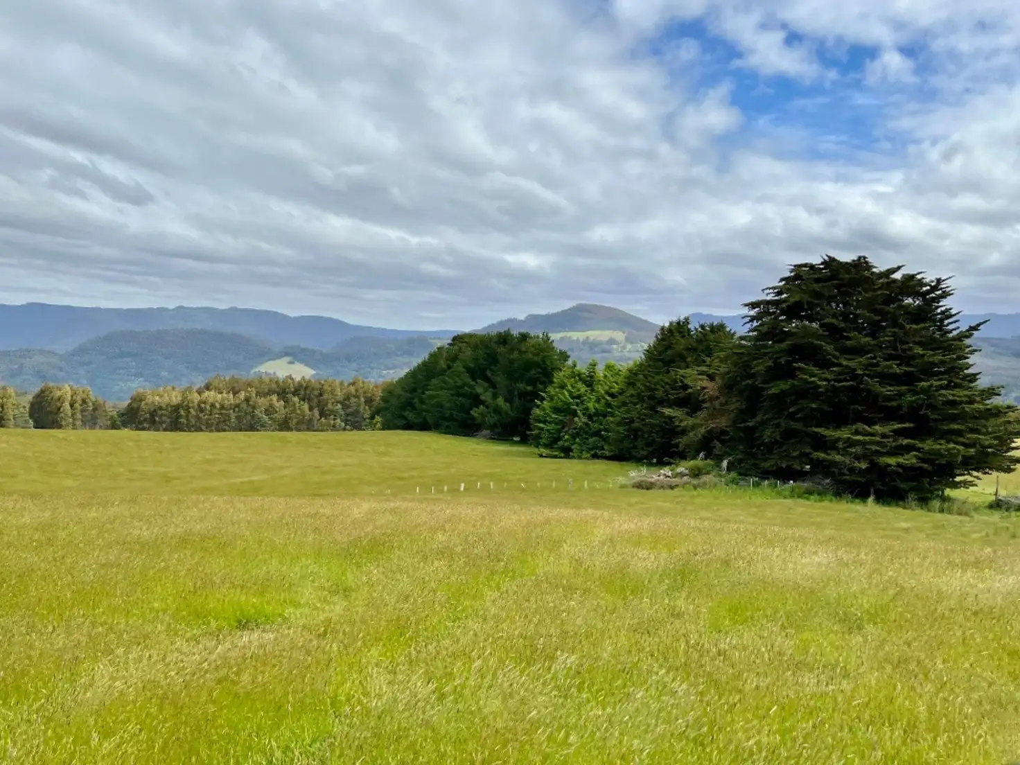 Main view of Homely land listing, 29371 Tasman Highway, Weldborough TAS 7264