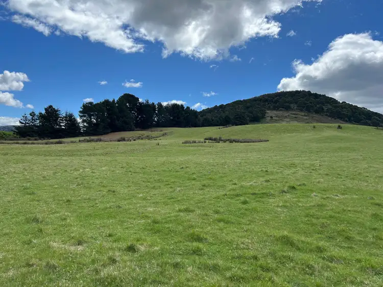 Sixth view of Homely land listing, 29371 Tasman Highway, Weldborough TAS 7264