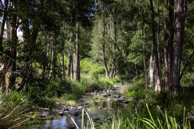 Fourth view of Homely rural property listing, 382 Norwood Lane, Mount George NSW 2424