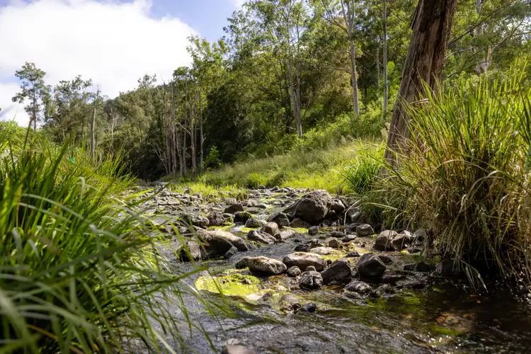 Fifth view of Homely rural property listing, 382 Norwood Lane, Mount George NSW 2424