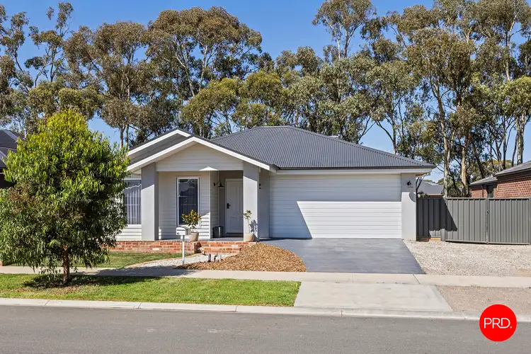 10 Eucalyptus Street