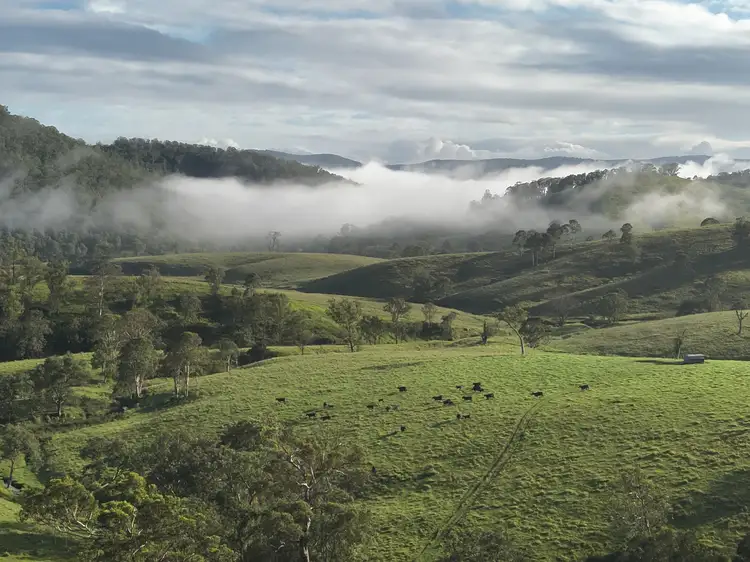 Sixth view of Homely rural property listing, 'Three Pines' 127 & 153 Bakers Creek Road, Bakers Creek NSW 2422