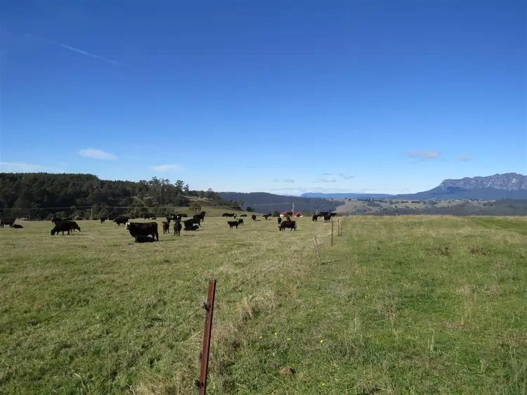 Main view of Homely rural property listing, 2622 Wilmot Road, Wilmot TAS 7310
