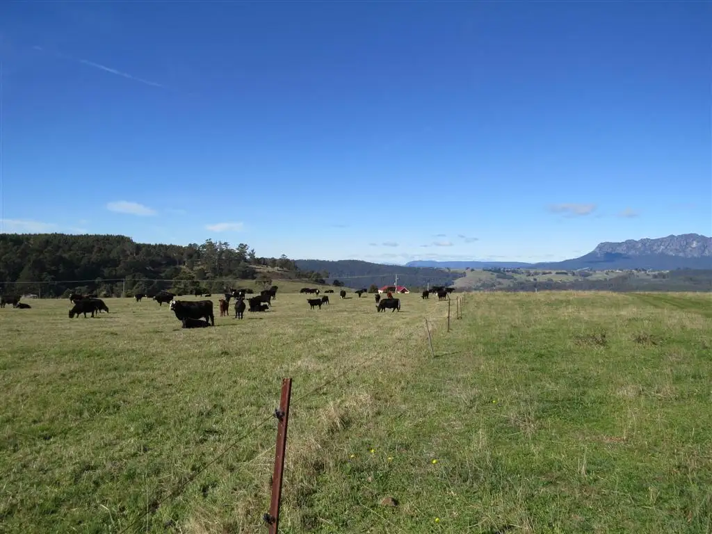 Main view of Homely rural property listing, 2622 Wilmot Road, Wilmot TAS 7310
