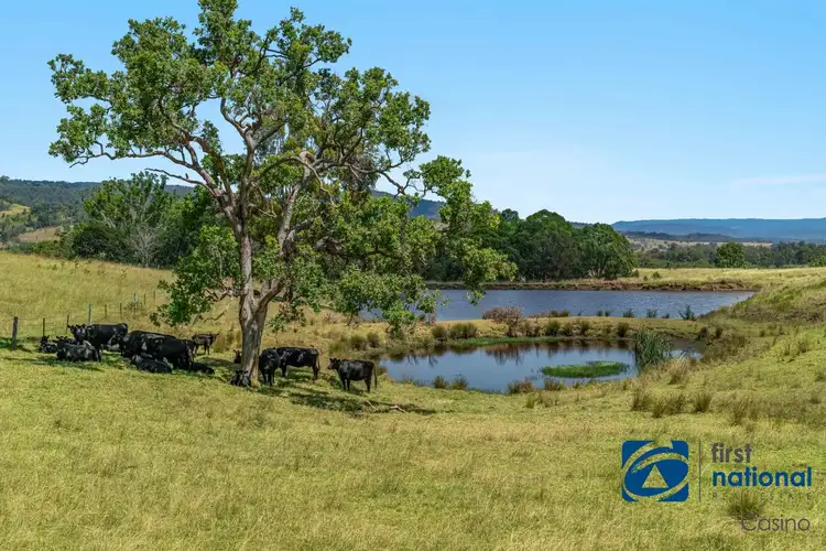 Main view of Homely rural property listing, 10366 Mount Lindesay Road, Legume NSW 2476