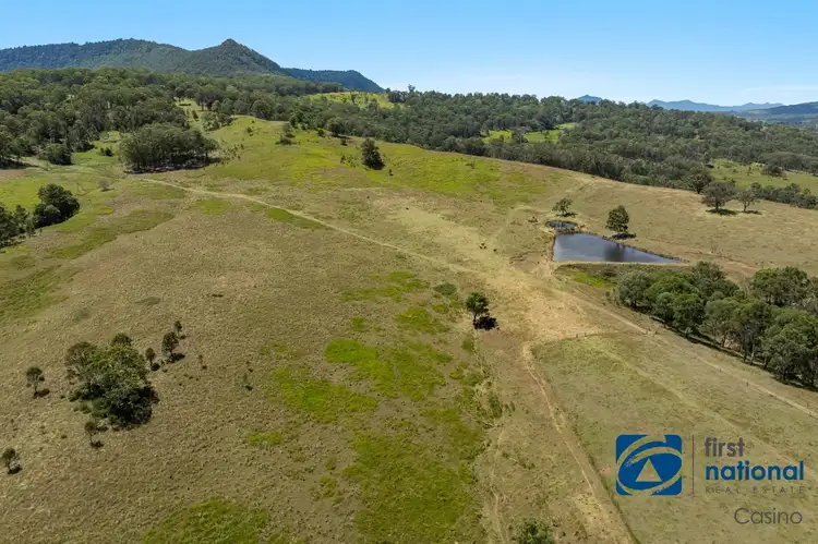 Second view of Homely rural property listing, 10366 Mount Lindesay Road, Legume NSW 2476
