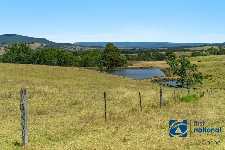 Third view of Homely rural property listing, 10366 Mount Lindesay Road, Legume NSW 2476