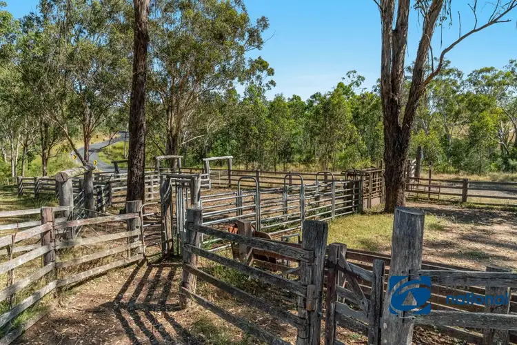 Sixth view of Homely rural property listing, 10366 Mount Lindesay Road, Legume NSW 2476