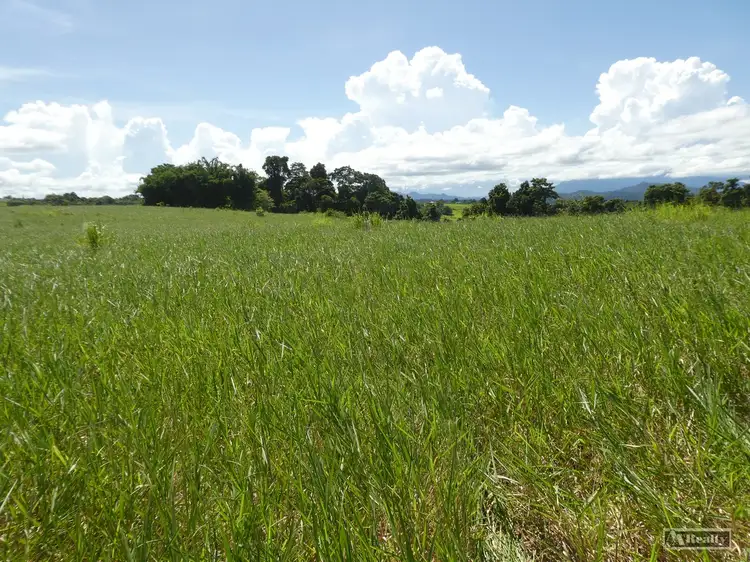 268 Nicholson Road, Bamboo Creek QLD 4860