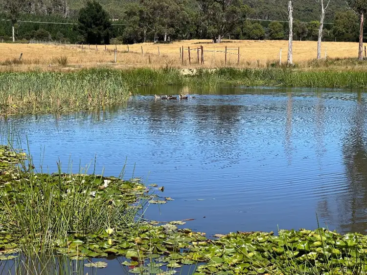 35 Lewis Road, Pipers River TAS 7252