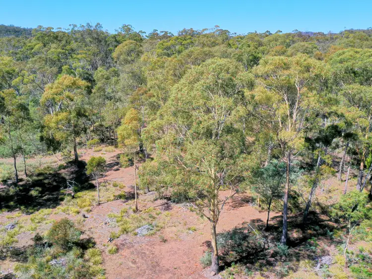 Fourth view of Homely house listing, 1190 Marked Tree Road, Hollow Tree TAS 7140