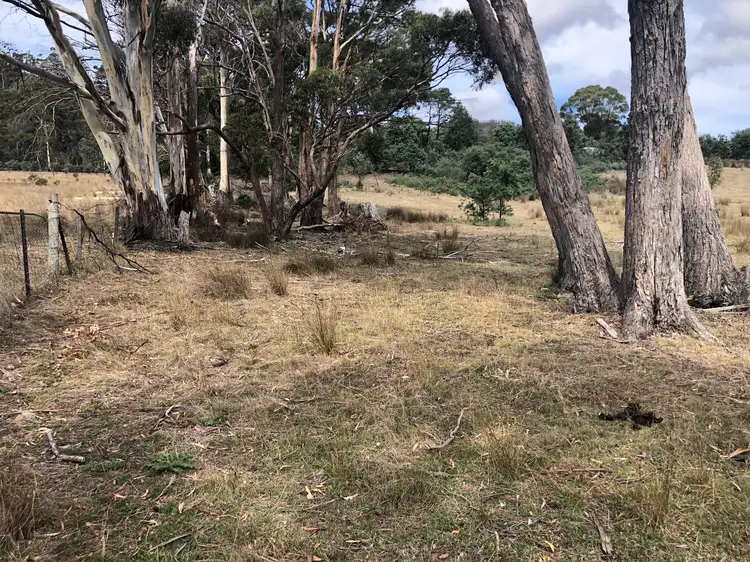 Second view of Homely rural property listing, 345 Springhill Bottom Road, Colebrook TAS 7027