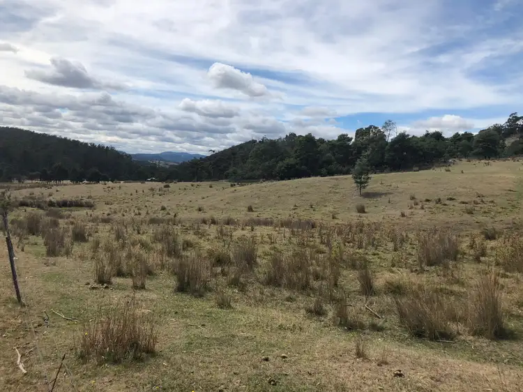 Fifth view of Homely rural property listing, 345 Springhill Bottom Road, Colebrook TAS 7027