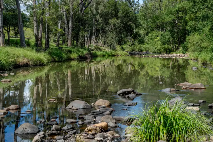 68 Tyalgum Creek Road, Tyalgum Creek NSW 2484