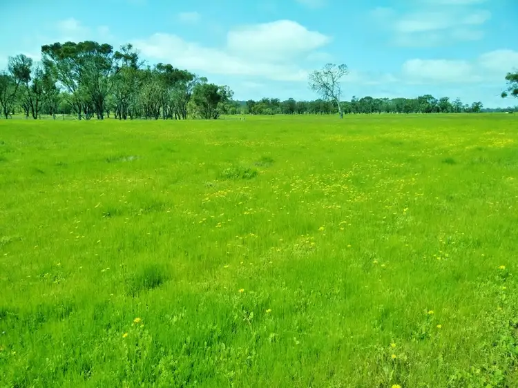 8464 Ulbrich Road, Wandering WA 6308