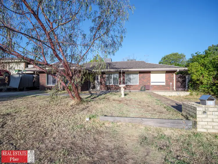 Second view of Homely house listing, 19 Carlton Place, Swan View WA 6056