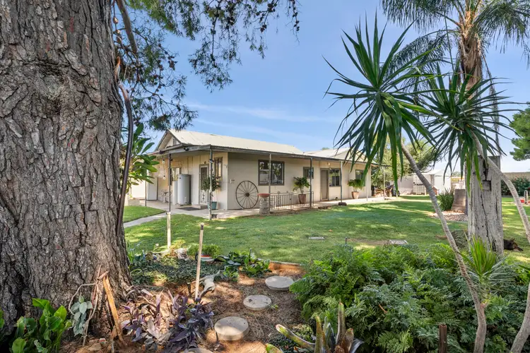 158 Paroo Street, Renmark North SA 5341