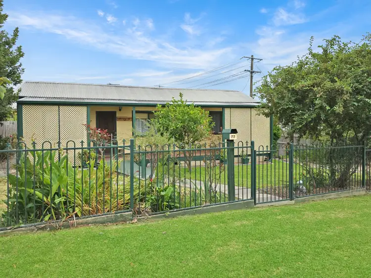 77 Wolseley Street