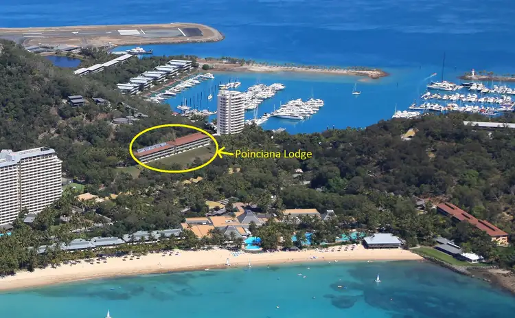 Sixth view of Homely apartment listing, 204/2 Marina Drive, Poinciana Lodge, Hamilton Island QLD 4803