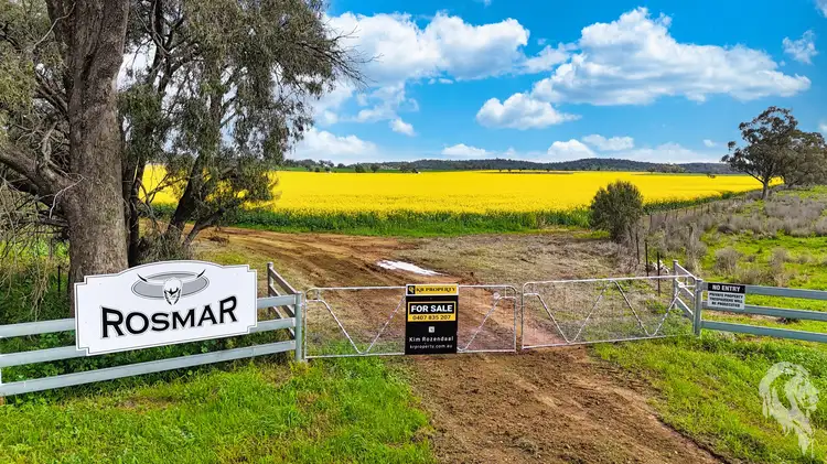 Main view of Homely rural property listing, 377 Coocooboonah Lane, Gunnedah NSW 2380