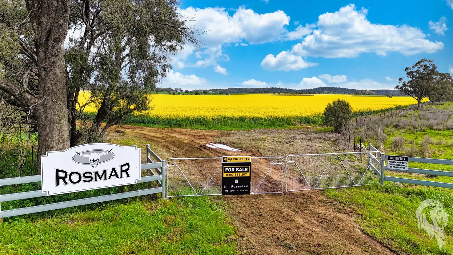 Main view of Homely rural property listing, 377 Coocooboonah Lane, Gunnedah NSW 2380