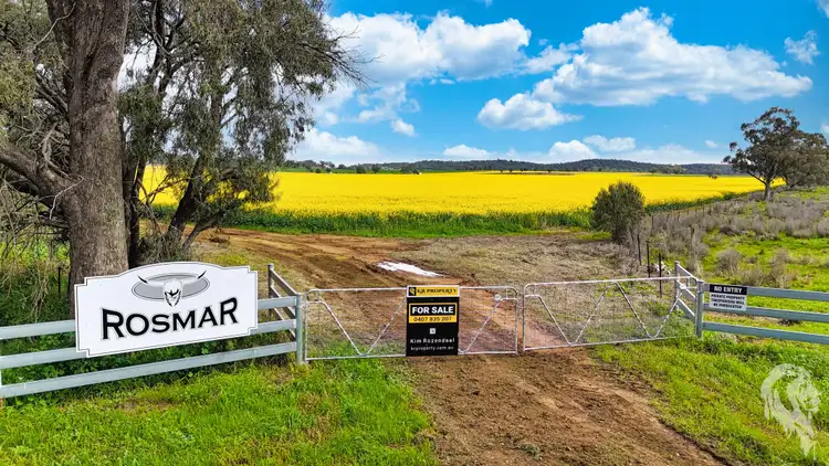 Second view of Homely rural property listing, 377 Coocooboonah Lane, Gunnedah NSW 2380