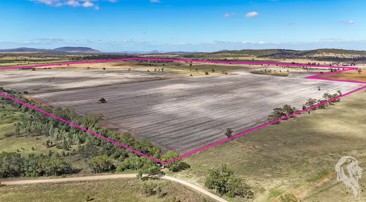 Second view of Homely rural property listing, 377 Coocooboonah Lane, Gunnedah NSW 2380