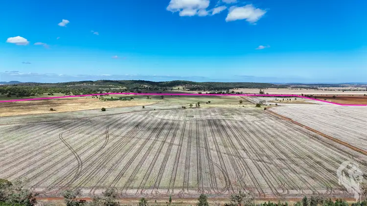 Third view of Homely rural property listing, 377 Coocooboonah Lane, Gunnedah NSW 2380