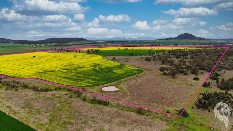 Fifth view of Homely rural property listing, 377 Coocooboonah Lane, Gunnedah NSW 2380