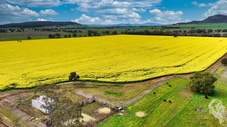 Sixth view of Homely rural property listing, 377 Coocooboonah Lane, Gunnedah NSW 2380