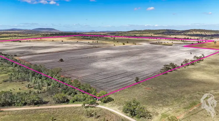 Sixth view of Homely rural property listing, 377 Coocooboonah Lane, Gunnedah NSW 2380