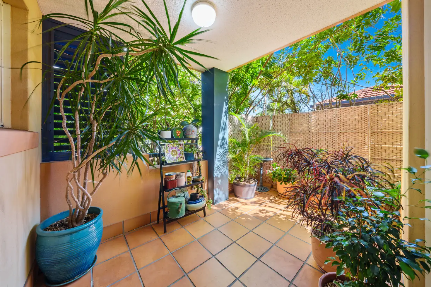 Main view of Homely apartment listing, 1/31-33 Mawarra Street, Chevron Island QLD 4217
