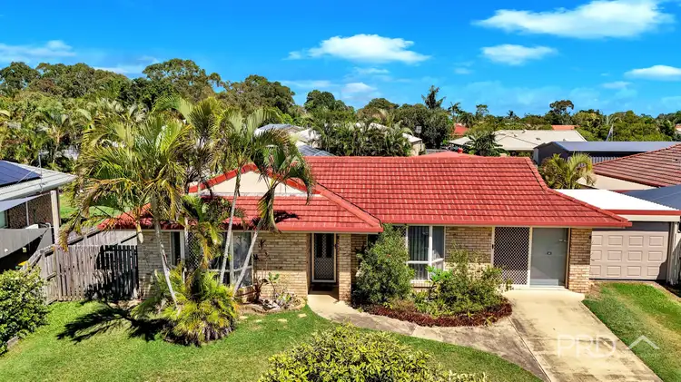 Main view of Homely house listing, 3 Bloodwood Court, Kawungan QLD 4655