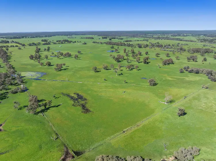 Third view of Homely rural property listing, 972 Capel Tutunup Road, Tutunup WA 6280