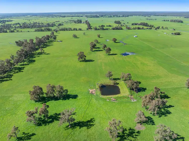 Sixth view of Homely rural property listing, 972 Capel Tutunup Road, Tutunup WA 6280
