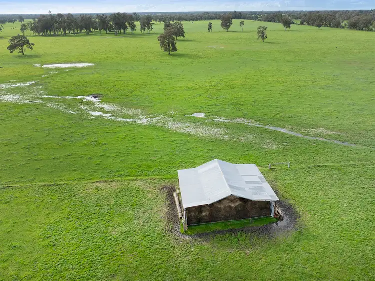 Seventh view of Homely rural property listing, 972 Capel Tutunup Road, Tutunup WA 6280