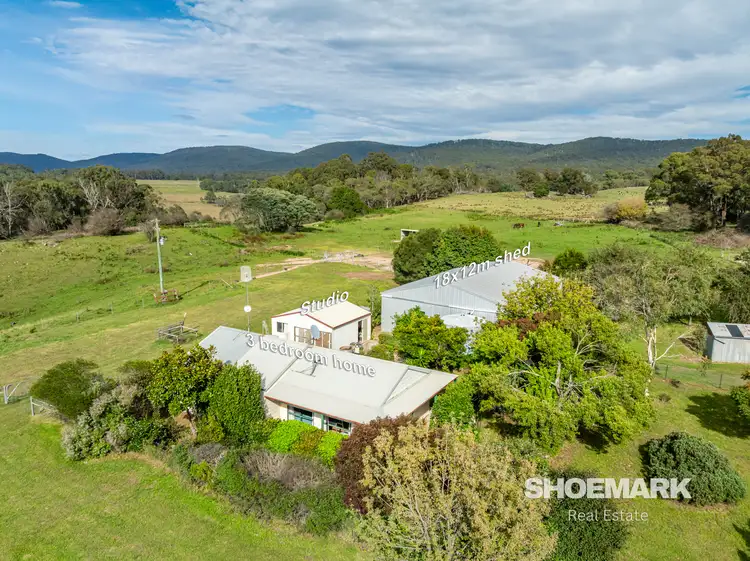 Second view of Homely rural property listing, 274 Mountain Creek Road, Braidwood NSW 2622