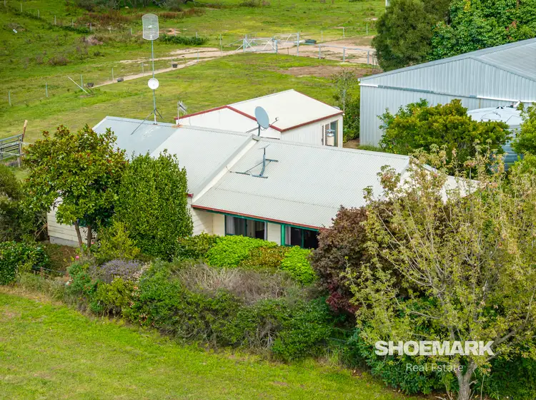 Third view of Homely rural property listing, 274 Mountain Creek Road, Braidwood NSW 2622