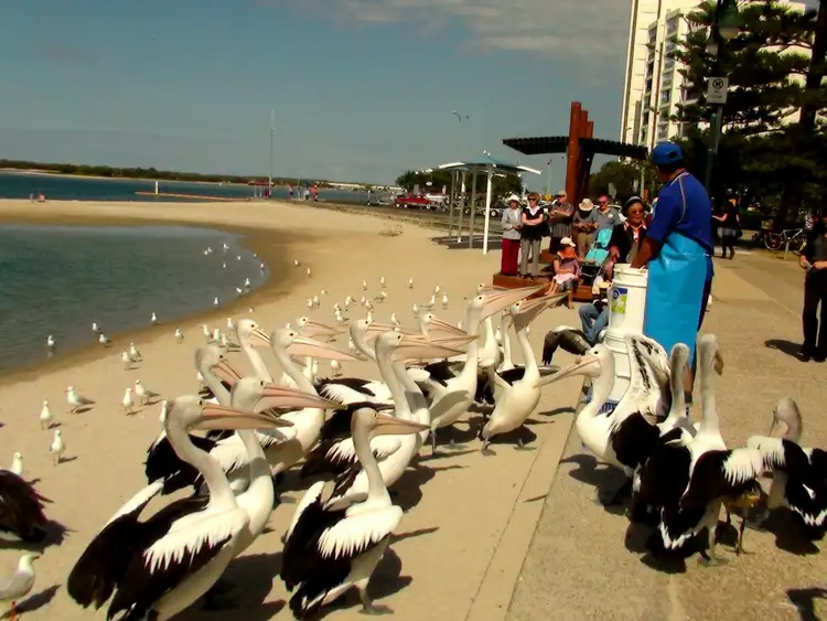 Seventh view of Homely townhouse listing, 83/170 Central Street, Labrador QLD 4215
