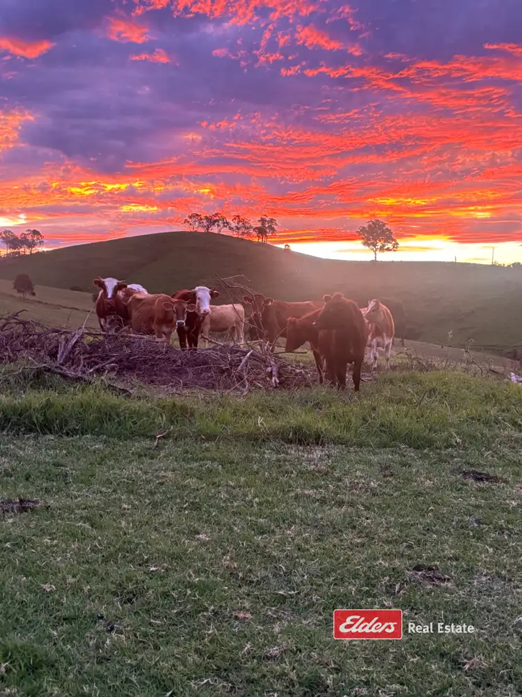 878 Wallanbah Road, Wallanbah via, Gloucester NSW 2422