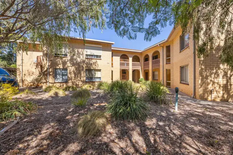 1/261 Young Street, Wayville SA 5034