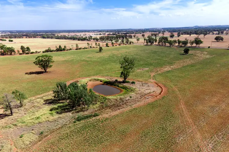 145 Bundawarrah Road, Temora NSW 2666