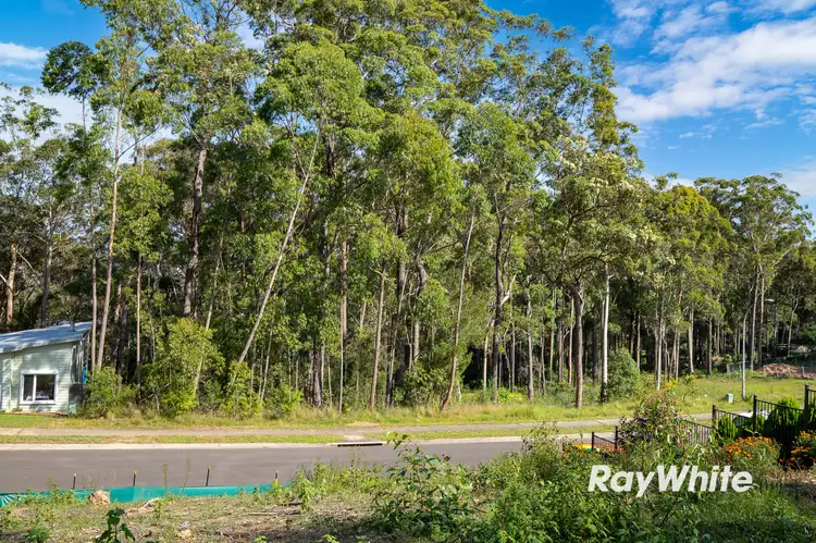 Sixth view of Homely land listing, 54 Litchfield Crescent, Long Beach NSW 2536