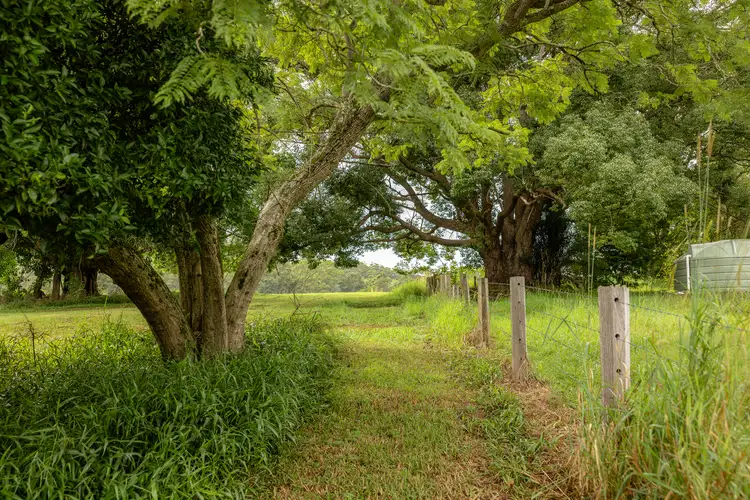Seventh view of Homely rural property listing, Lot 1 Langley Vale Road, Langley Vale NSW 2426