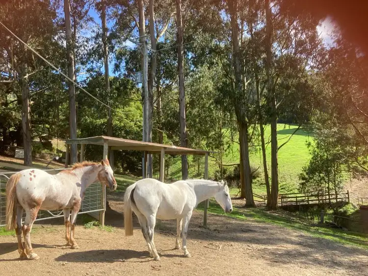 Third view of Homely rural property listing, 250 Woomera Creek Rd, Toora North VIC 3962